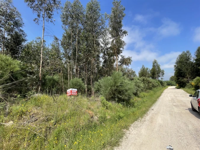 Terreno para Venda em Pinhanços Foto 2