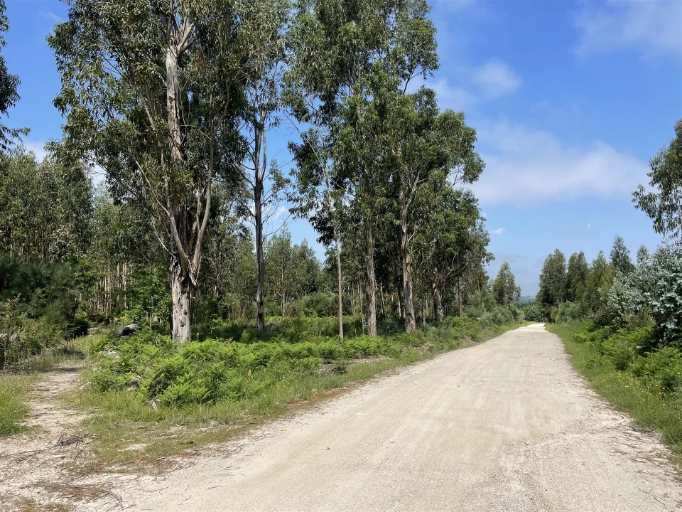 Terreno para Venda em Pinhanços Foto 1