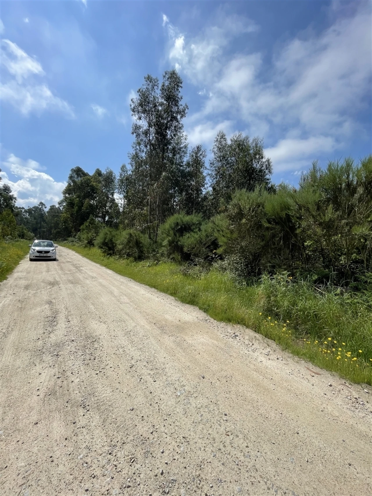 Terreno para Venda em Pinhanços Foto 7