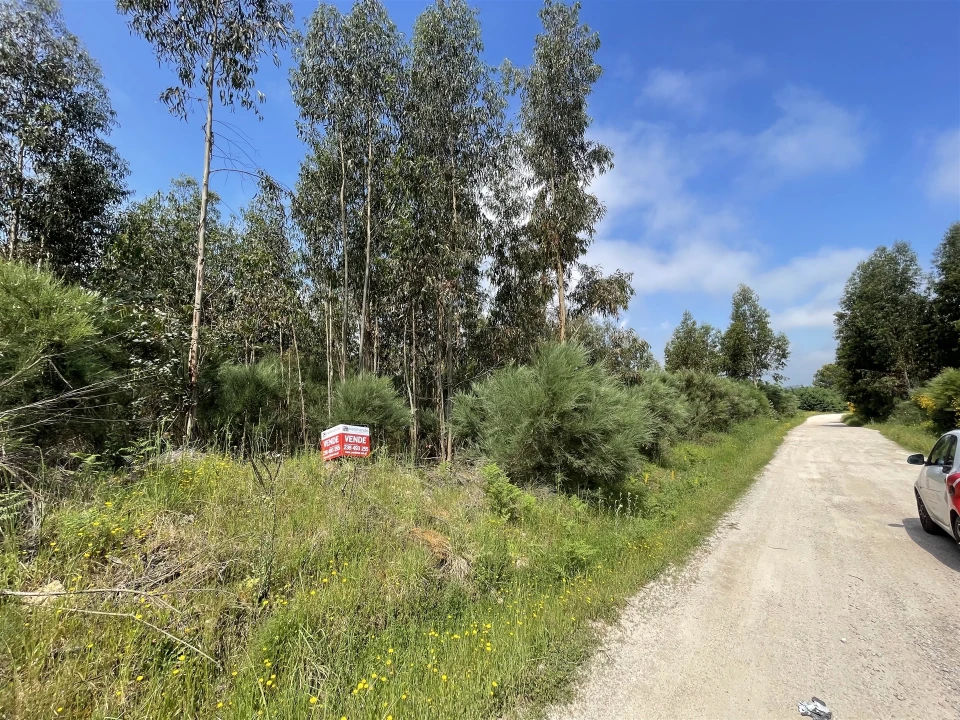 Terreno para Venda em Pinhanços Foto 2