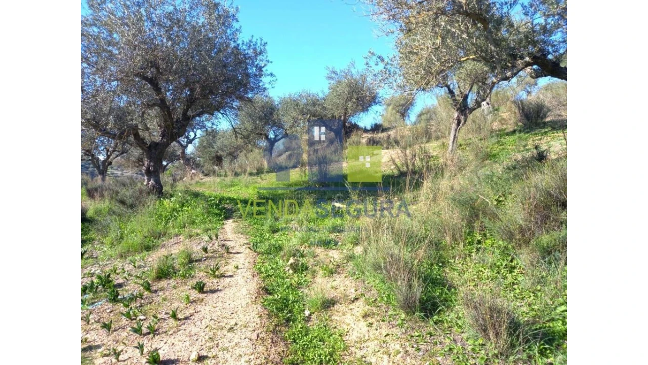 Quinta T2 para Venda em Safara e Santo Aleixo da Restauração Foto 38