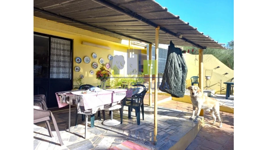 Quinta T2 para Venda em Safara e Santo Aleixo da Restauração Foto 8