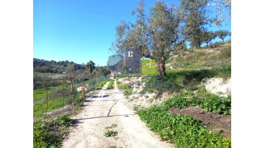 Quinta T2 para Venda em Safara e Santo Aleixo da Restauração Foto 33