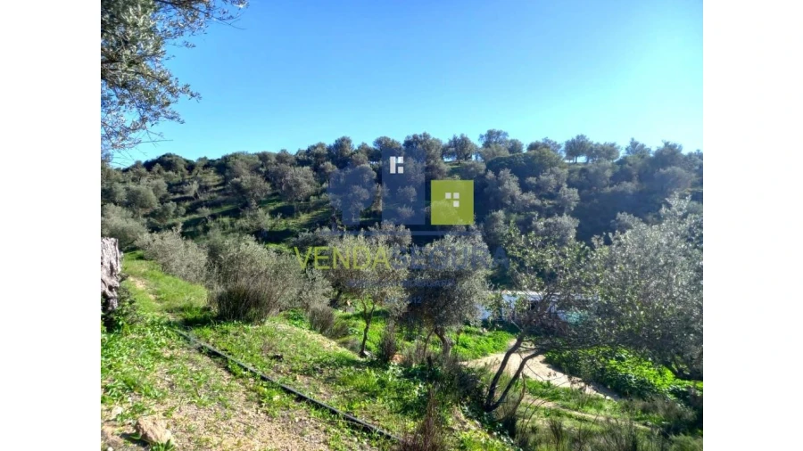 Quinta T2 para Venda em Safara e Santo Aleixo da Restauração Foto 37