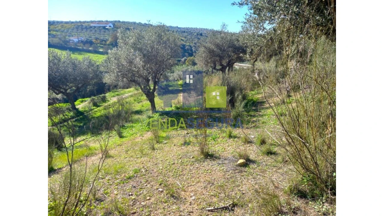 Quinta T2 para Venda em Safara e Santo Aleixo da Restauração Foto 39