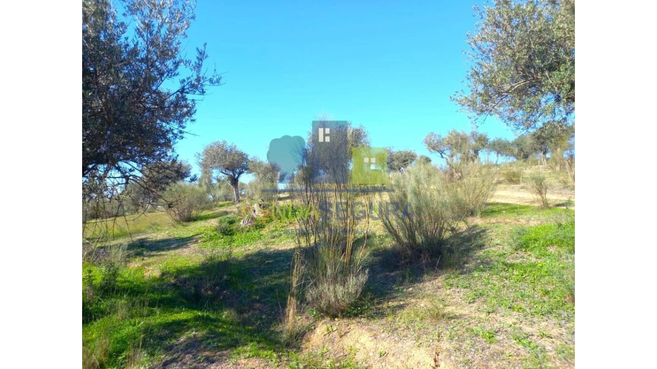 Quinta T2 para Venda em Safara e Santo Aleixo da Restauração Foto 36