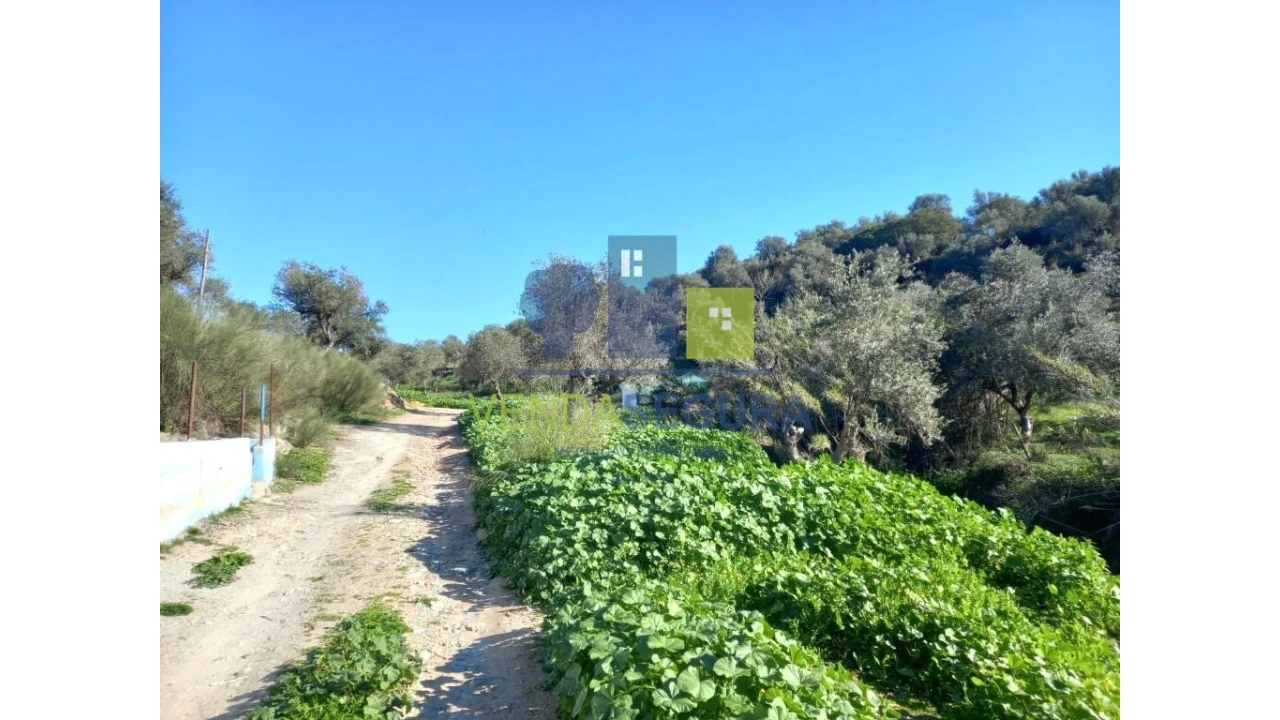 Quinta T2 para Venda em Safara e Santo Aleixo da Restauração Foto 34