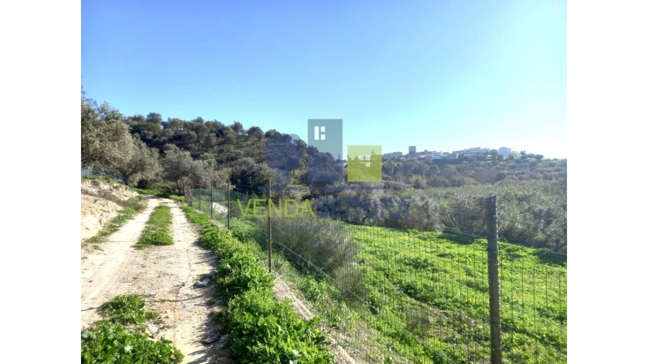 Quinta T2 para Venda em Safara e Santo Aleixo da Restauração Foto 32