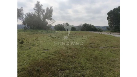 Terreno para Venda em Silves