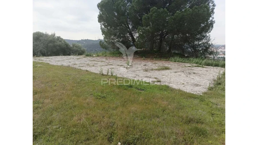 Terreno para Venda em Silves Foto 9