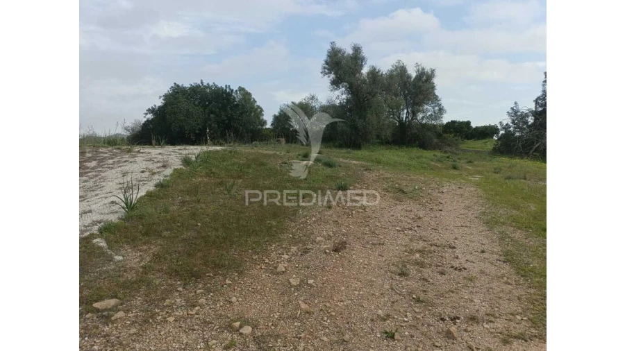 Terreno para Venda em Silves Foto 12