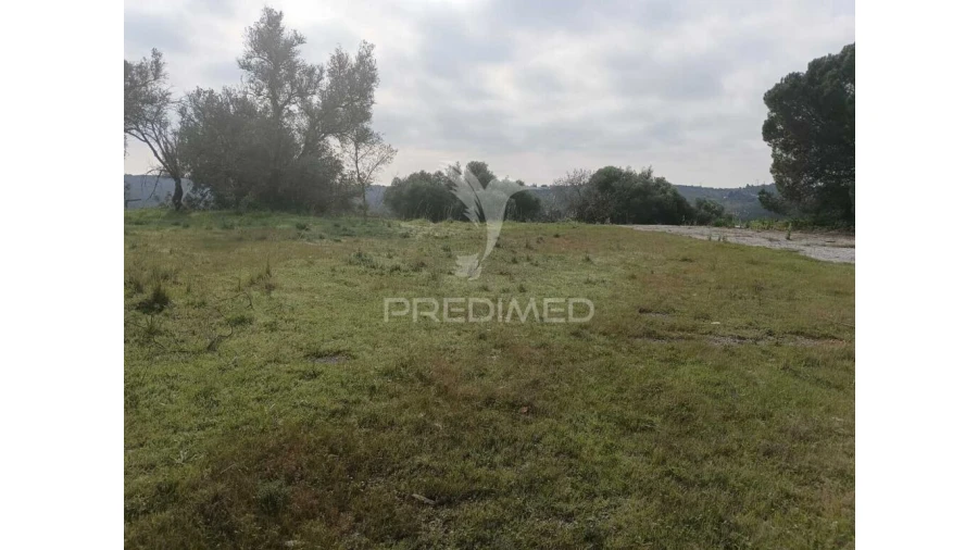 Terreno para Venda em Silves Foto 7