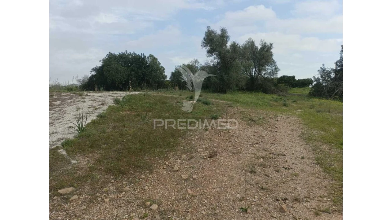 Terreno para Venda em Silves Foto 12