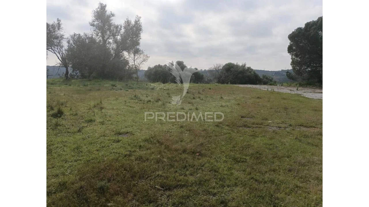 Terreno para Venda em Silves Foto 7