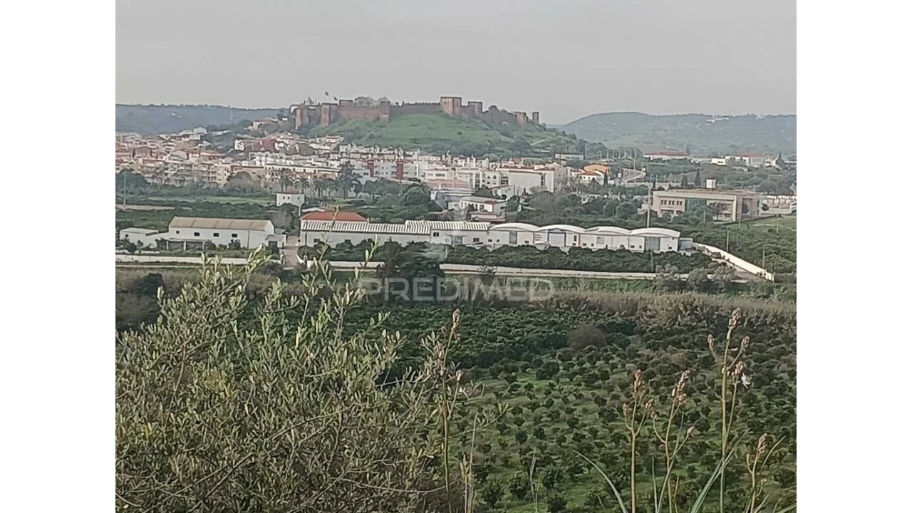 Terreno para Venda em Silves Foto 3