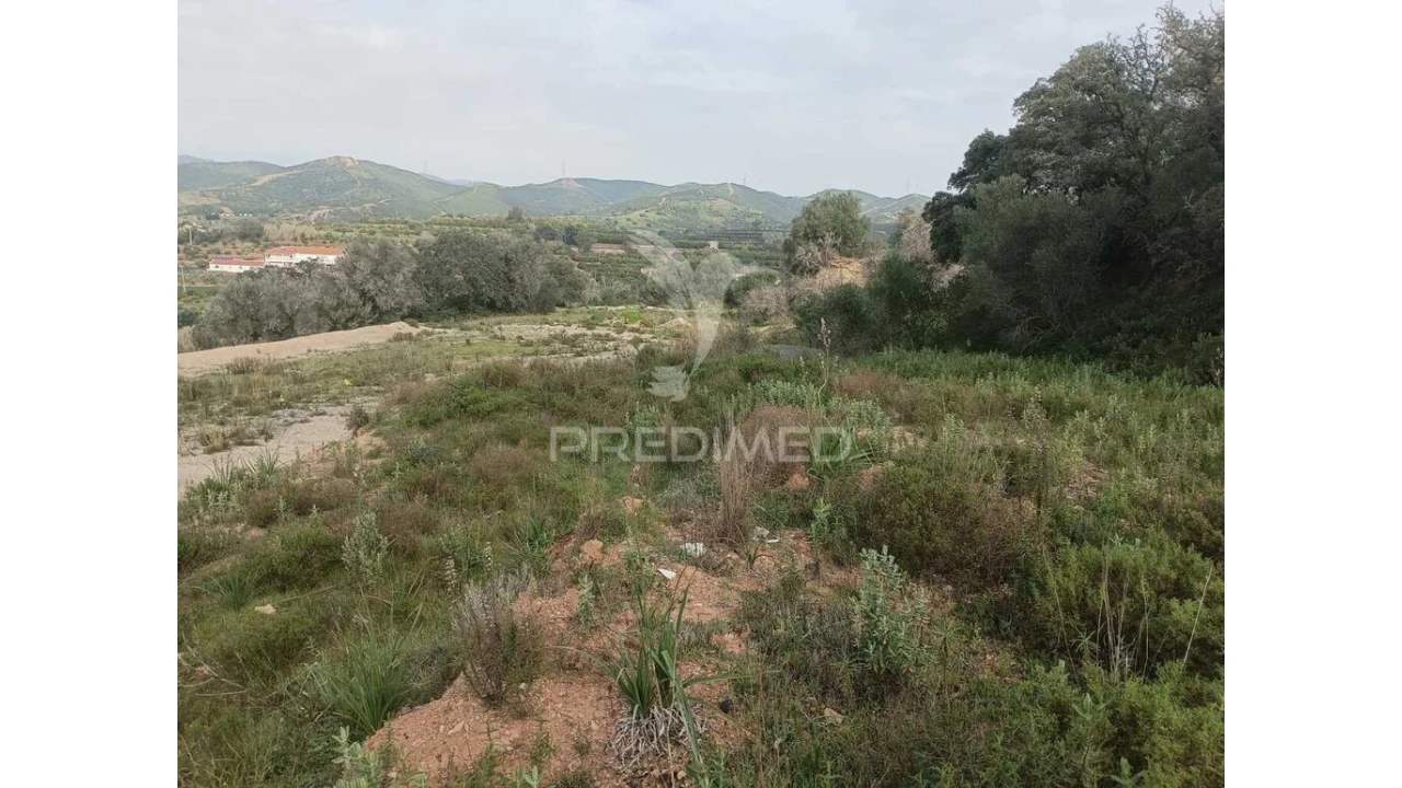 Terreno para Venda em Silves Foto 4