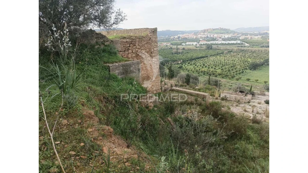 Terreno para Venda em Silves Foto 6