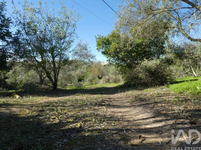 Moradia T1 para Venda em Luz de Tavira e Santo Estêvão Foto 12
