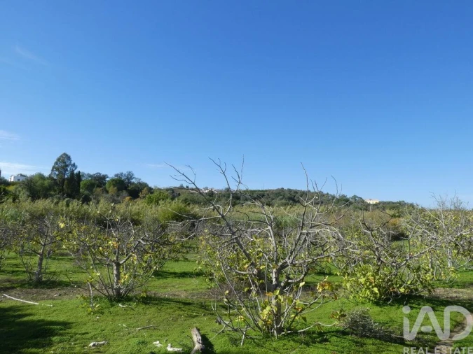 Moradia T1 para Venda em Luz de Tavira e Santo Estêvão Foto 11