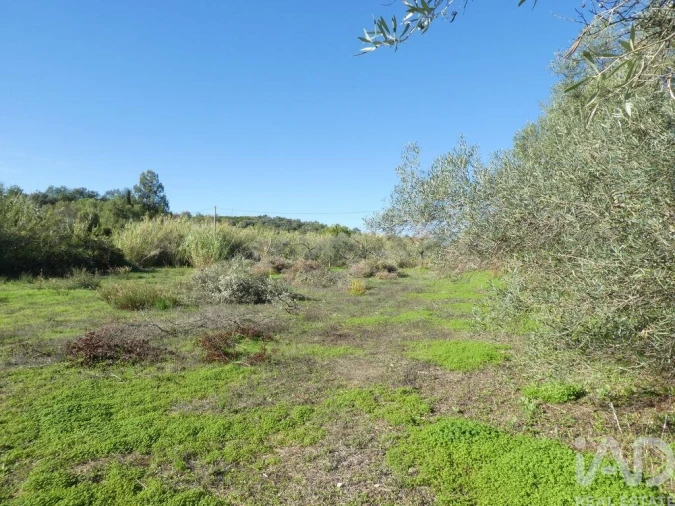 Moradia T1 para Venda em Luz de Tavira e Santo Estêvão Foto 14