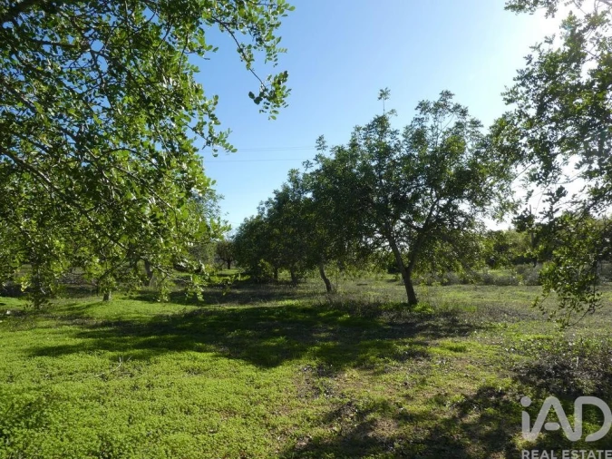 Moradia T1 para Venda em Luz de Tavira e Santo Estêvão Foto 9