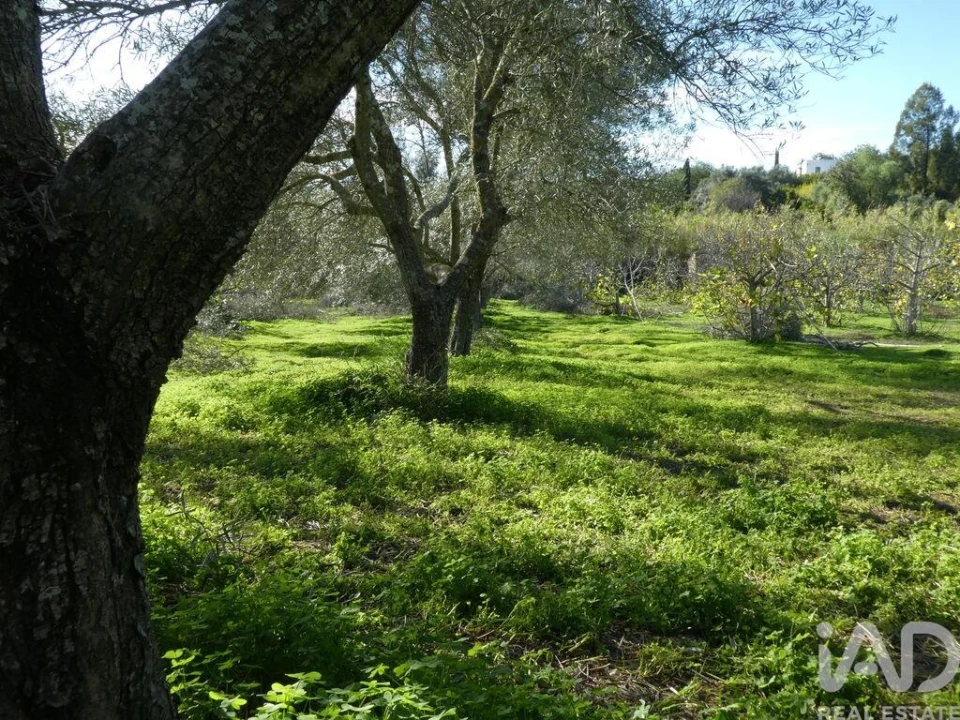 Moradia T1 para Venda em Luz de Tavira e Santo Estêvão Foto 15