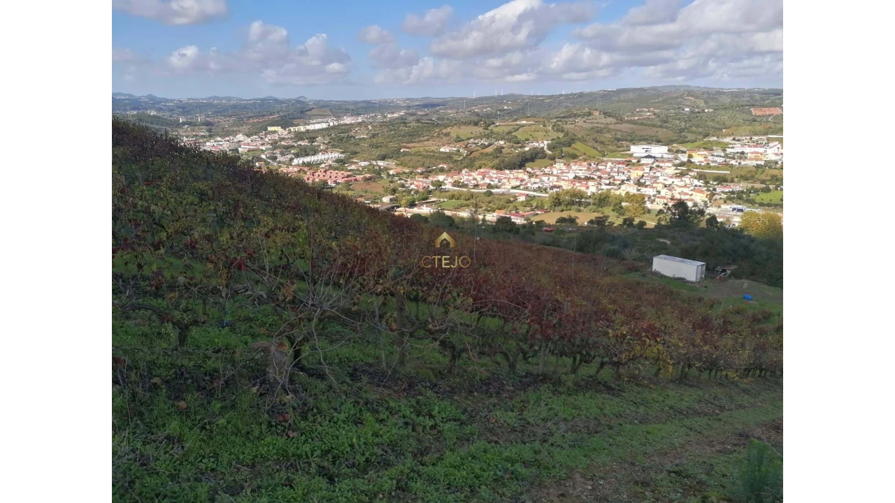Terreno para Venda em Bucelas Foto 4