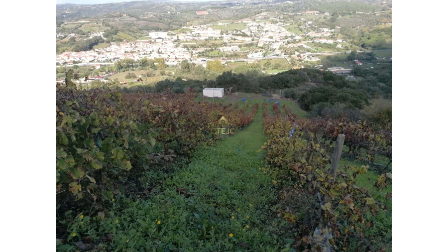 Terreno para Venda em Bucelas Foto 3