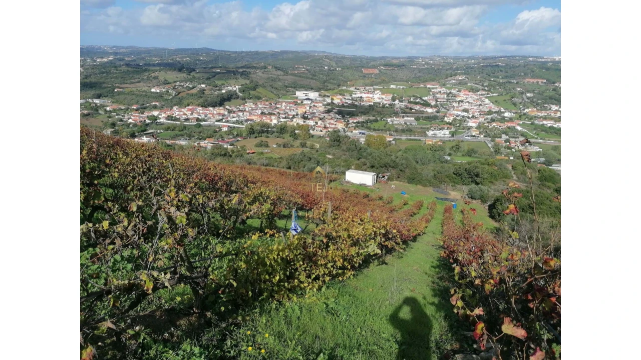 Terreno para Venda em Bucelas Foto 2