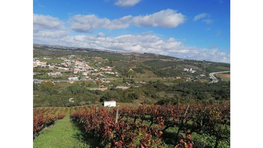 Terreno para Venda em Bucelas Foto 3