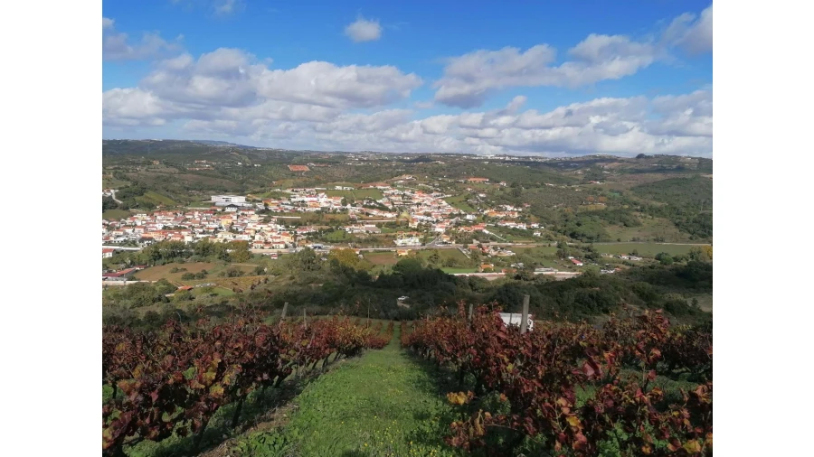 Terreno para Venda em Bucelas
