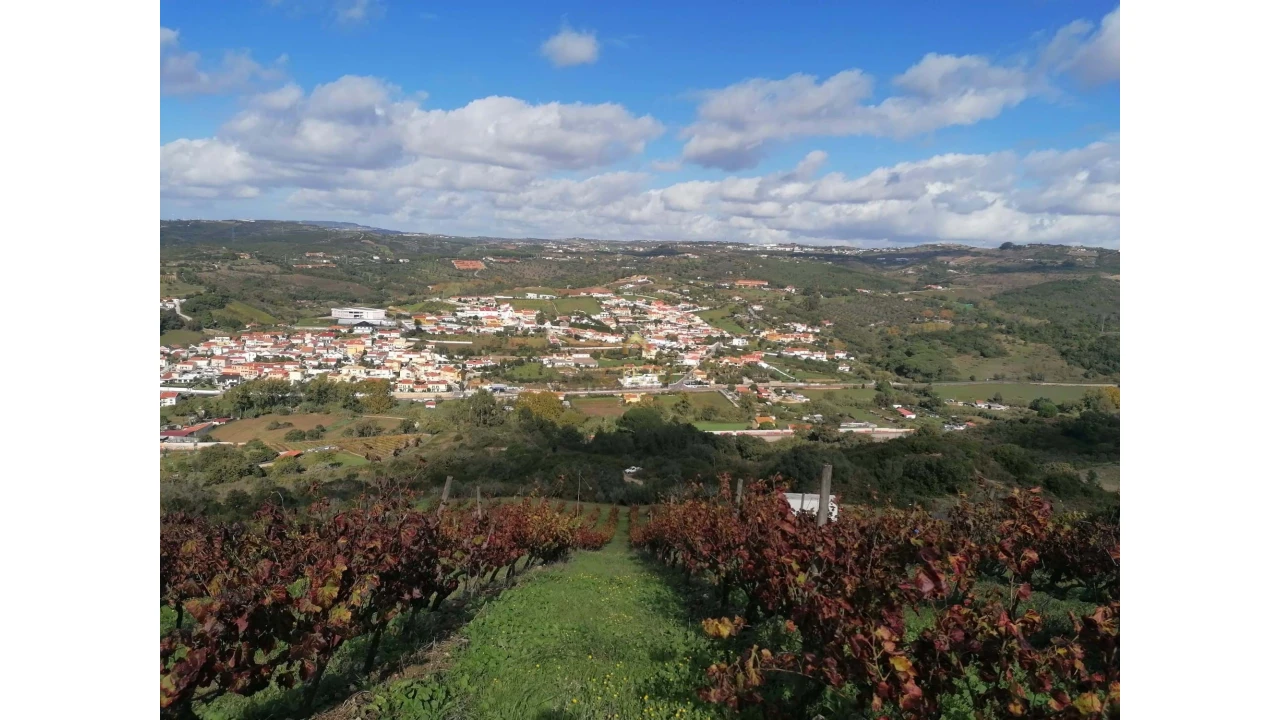 Terreno para Venda em Bucelas Foto 1