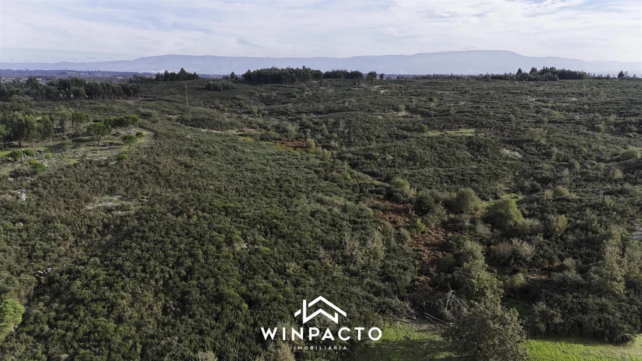 Terreno Agricola ou Rústico para Venda em Vilar Seco Foto 16