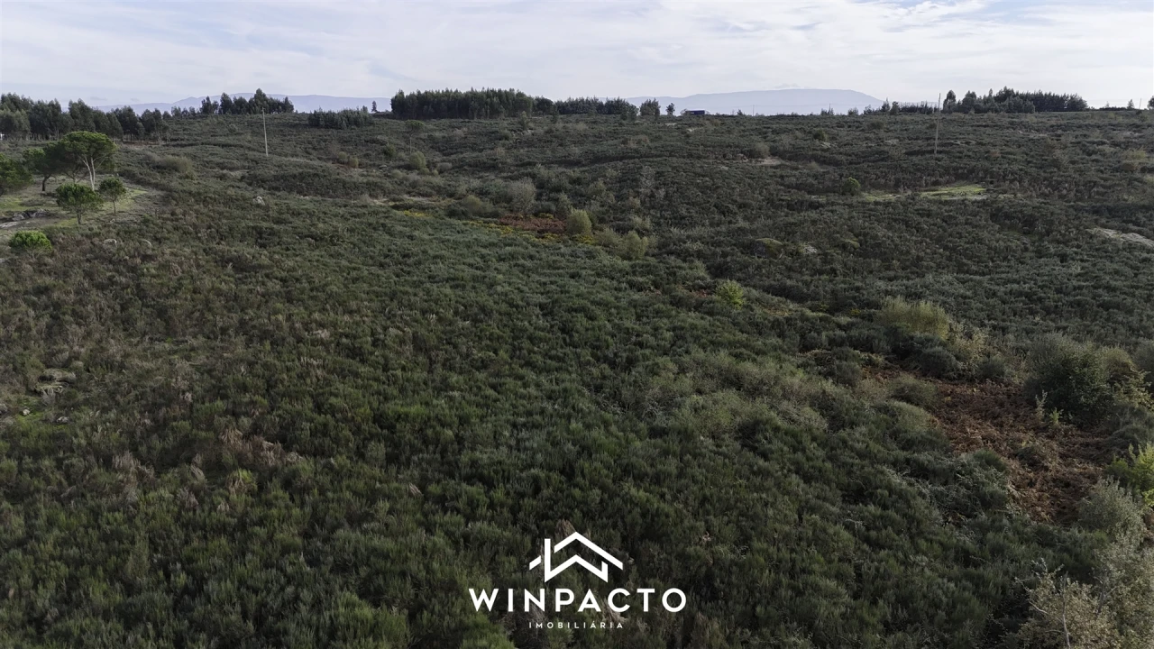 Terreno Agricola ou Rústico para Venda em Vilar Seco Foto 14