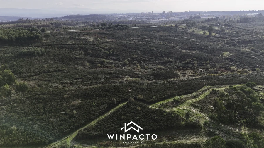 Terreno Agricola ou Rústico para Venda em Vilar Seco Foto 19