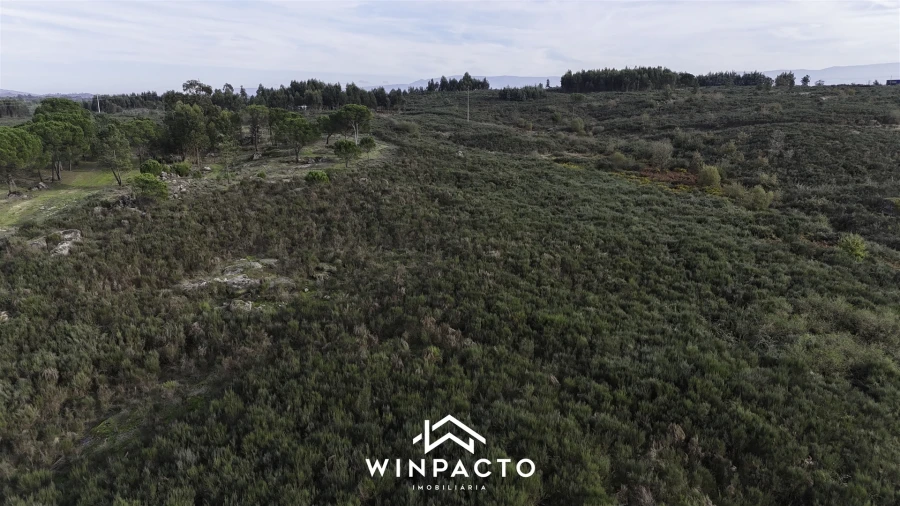 Terreno Agricola ou Rústico para Venda em Vilar Seco Foto 15