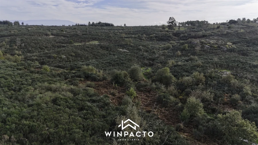 Terreno Agricola ou Rústico para Venda em Vilar Seco Foto 13