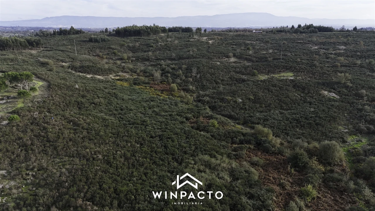 Terreno Agricola ou Rústico para Venda em Vilar Seco Foto 7