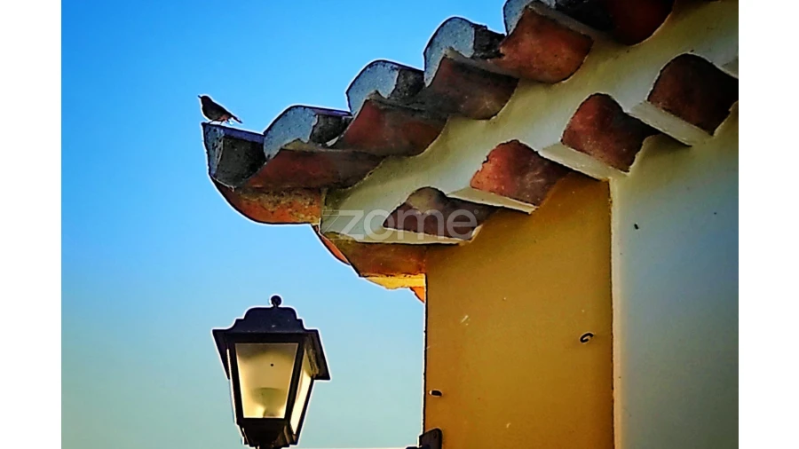 Moradia T10 para Venda em Santa Maria e São Miguel, São Martinho, São Pedro Penaferrim Foto 38