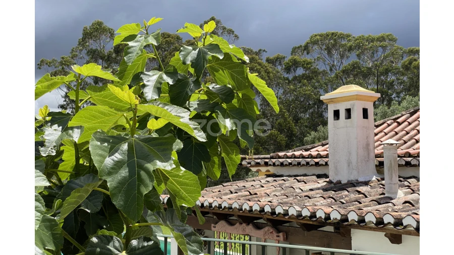 Moradia T10 para Venda em Santa Maria e São Miguel, São Martinho, São Pedro Penaferrim Foto 39