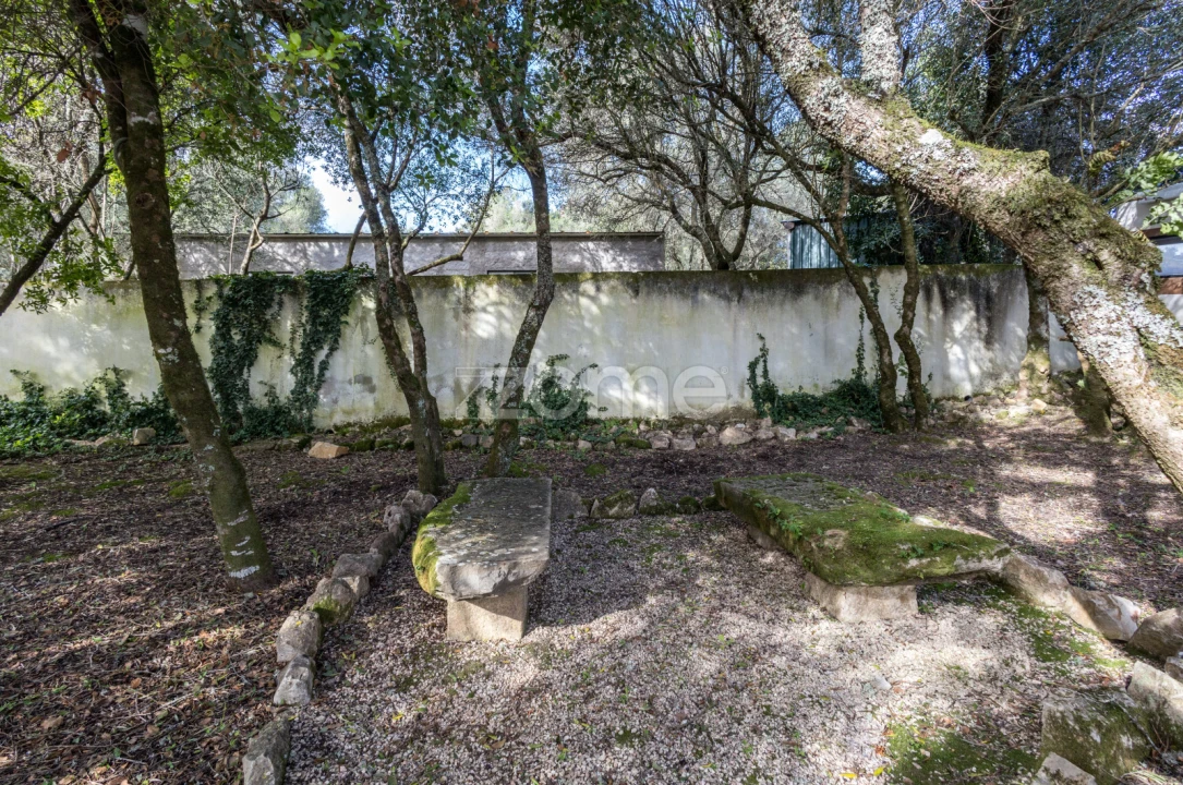 Moradia T10 para Venda em Santa Maria e São Miguel, São Martinho, São Pedro Penaferrim Foto 71