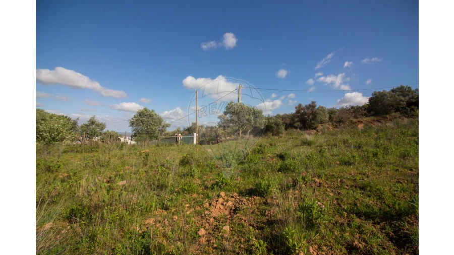 Terreno para Venda em Alenquer (Santo Estêvão e Triana) Foto 4