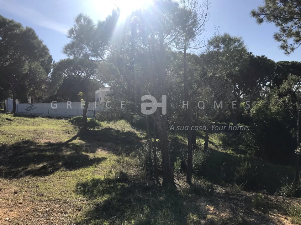Terreno para Venda em Almancil Foto 5