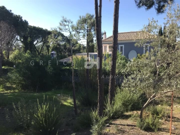 Terreno para Venda em Almancil