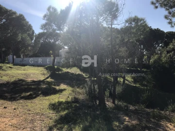 Terreno para Venda em Almancil