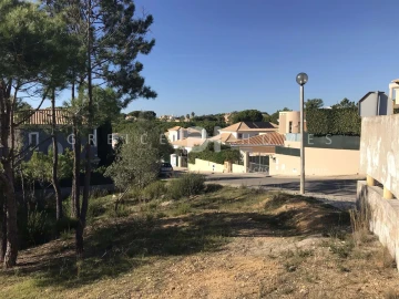 Terreno para Venda em Almancil