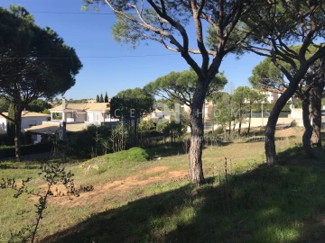 Terreno para Venda em Almancil