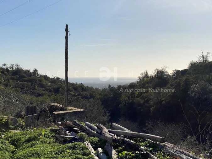 Terreno para Venda em Faro (Sé e São Pedro) Foto 5