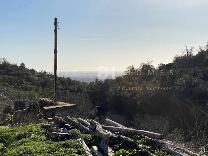 Terreno para Venda em Faro (Sé e São Pedro) Foto 7