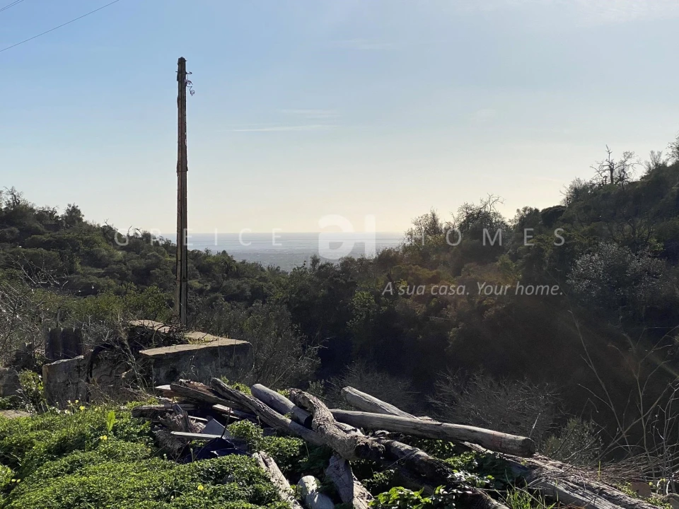 Terreno para Venda em Faro (Sé e São Pedro) Foto 7